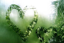 乌迪内斯足球俱乐部为何被称为意甲黑店？它的发展历程有何独特之处？